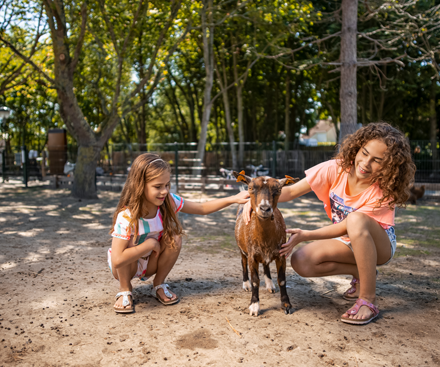 Animal Care